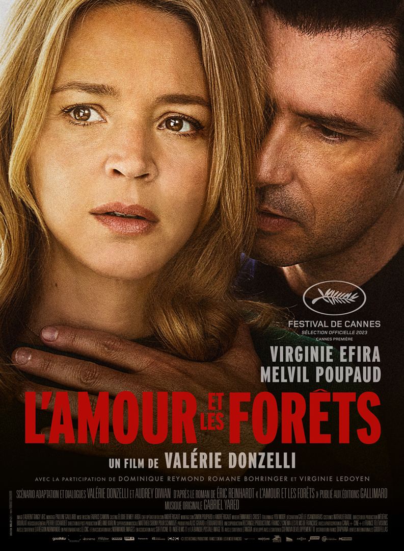 affiche du film