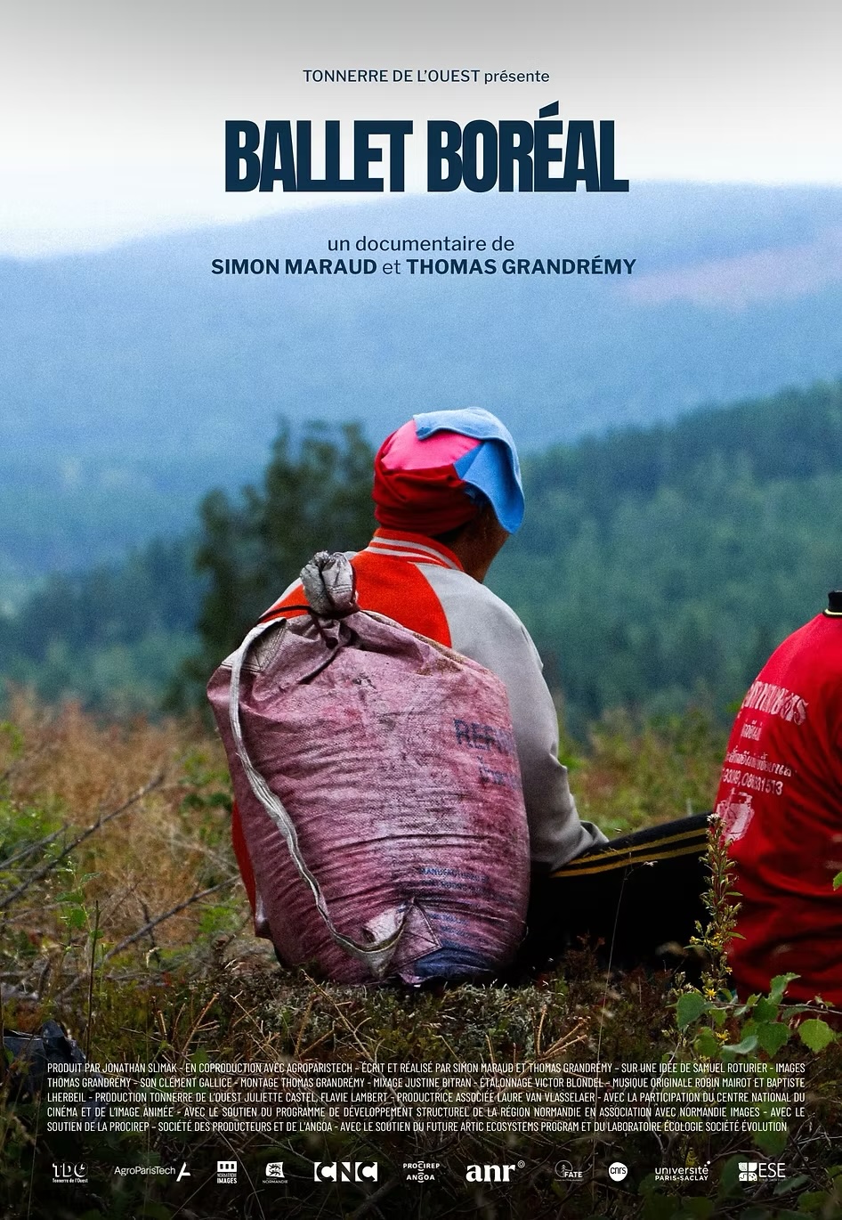 affiche du film